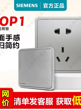 西门子开关插座睿绎星辉银灰色家用五孔带双USB千兆6类电脑大面板
