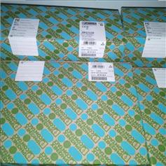 安全继电器MCR-CLP-UII-4   2814058