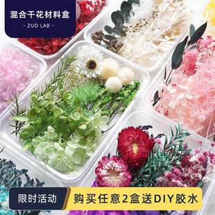 花盒混合干花DIY花材包满天星永生花真花风干活动手工材料包 混装