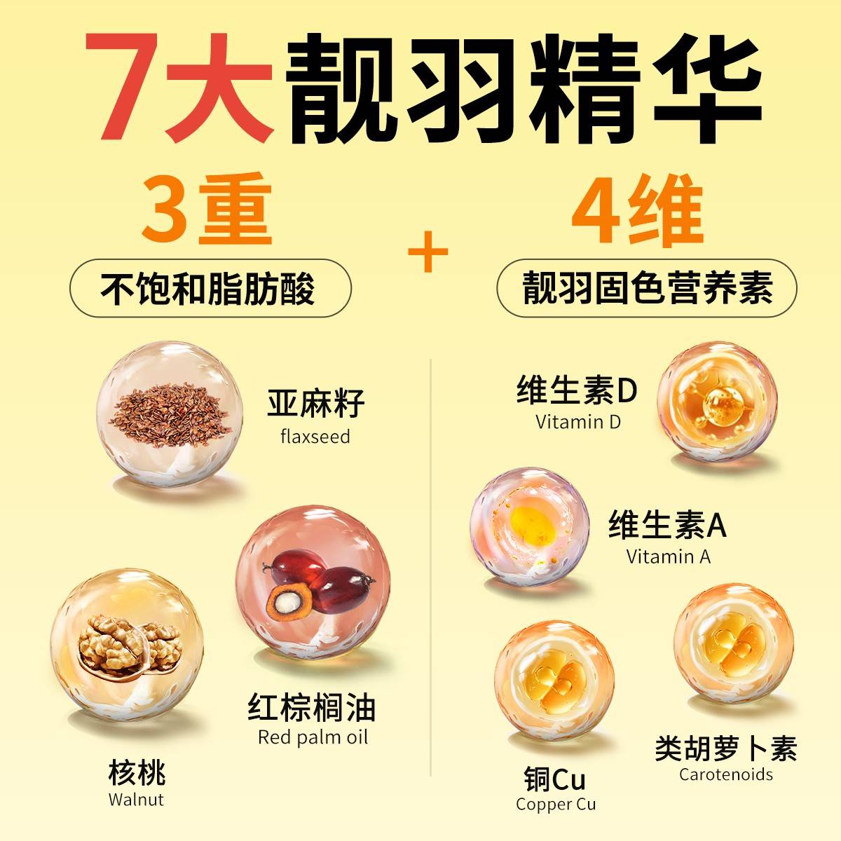 鹉源物专派牡丹鹦皮用鸟玄凤虎小15537鸟太子阳粮和尚草本饲浆果