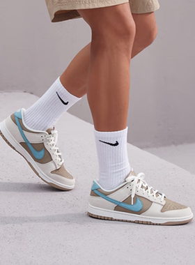 耐克NIKE DUNK LOW RETRO PREMIUM 男子运动鞋 HQ1175-240