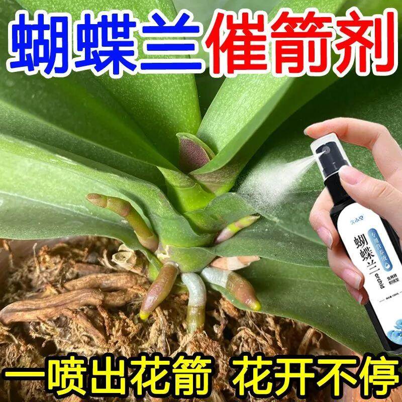 蝴蝶兰专用肥兰花营养液文心兰君子兰促开花拯救黄叶烂根免稀释