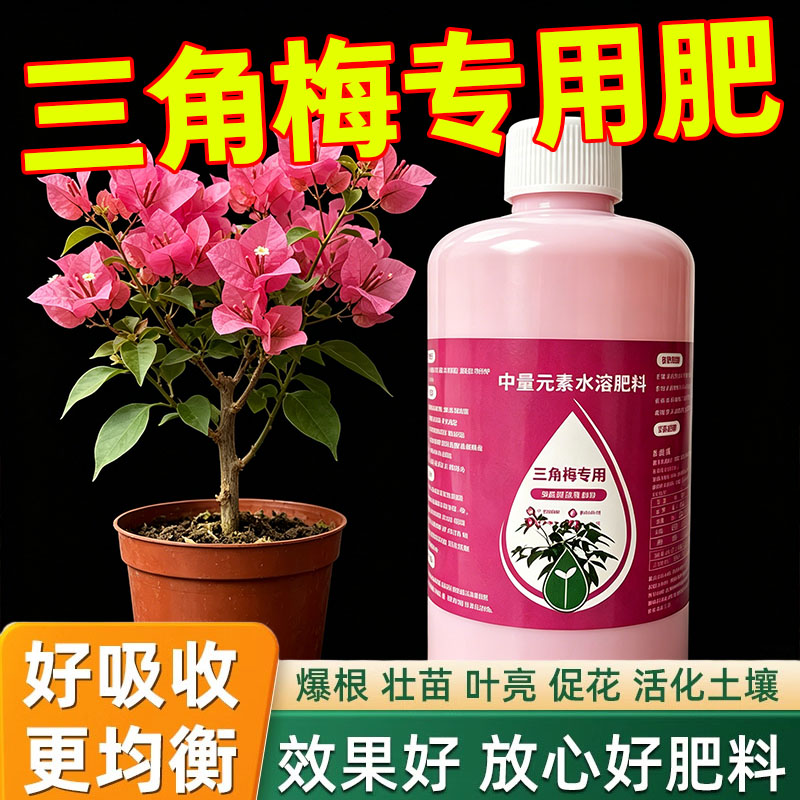 三角梅专用营养液家用茶花植物肥