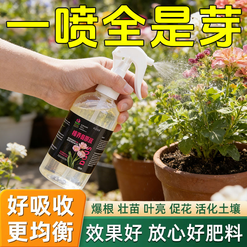 特惠款高浓爆芽原液多肉爆芽素
