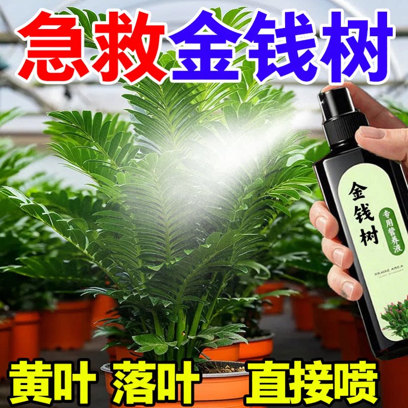 发财树专用肥料液喷雾浓缩植物营养液花肥通用家用促芽促花卉多肉图片