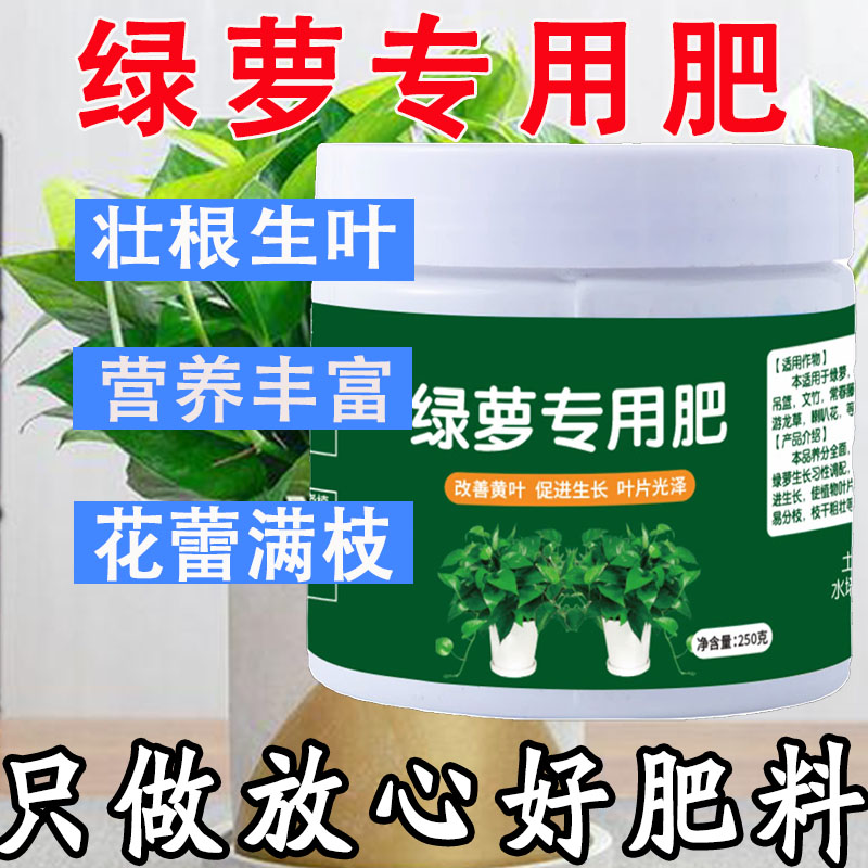 绿萝营养液专用肥料花肥