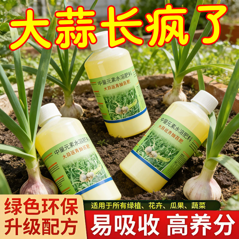 大蒜返青抽苔肥大蒜专用肥