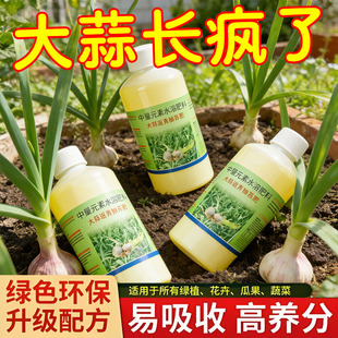 大蒜返青抽苔肥大蒜专用肥出苔齐蒜薹粗蒜头大易抽苔早抽苔增产