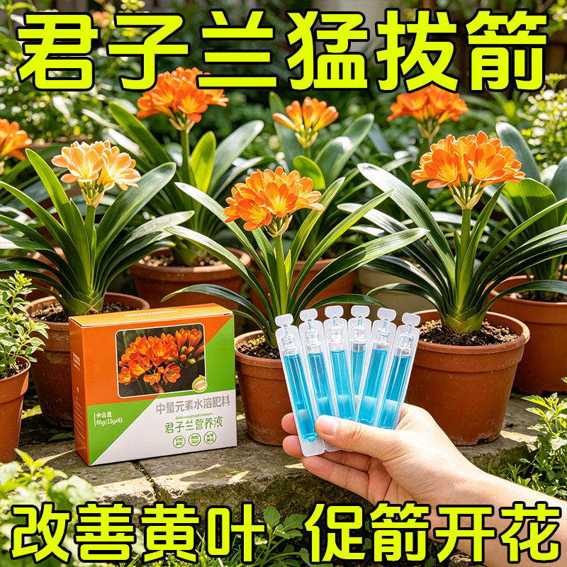 君子兰专用肥料盆栽通用营养液