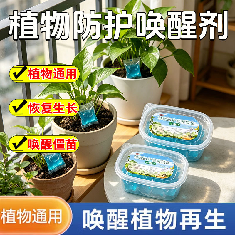 植物防护营养凝珠花卉绿植盆栽