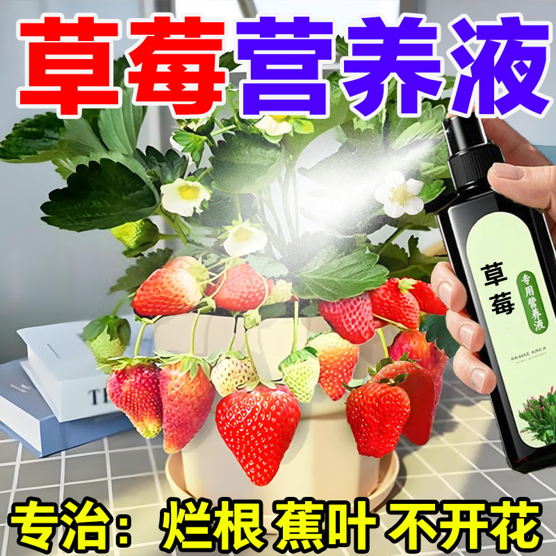 草莓营养液免稀释液体肥