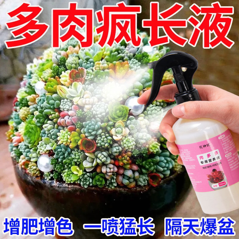 三天满盆】肉多多营养液爆芽王多肉爆盆专用肥助生长促发芽疯长剂