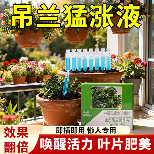 吊兰营养液金边吊兰肥料