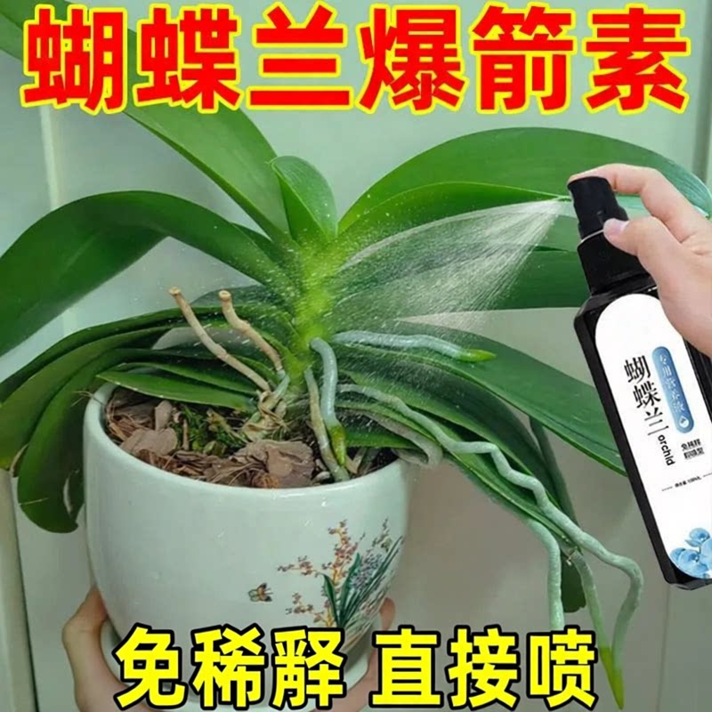 蝴蝶兰营养液治黄叶烂根枯萎