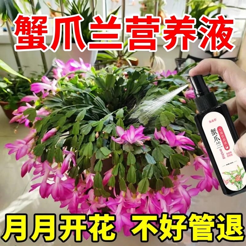 蟹爪兰专用营养液蟹爪兰开花专用肥养蟹爪兰专用肥花肥盆栽肥料,鲜花速递/花卉仿真/绿植园艺,家庭园艺肥料,淘宝优惠券,粉丝福利购,淘宝优惠卷