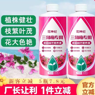 三角梅开花专用营养液肥