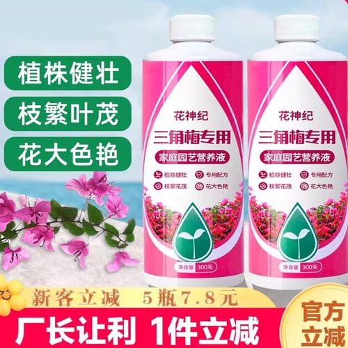 三角梅开花专用营养液肥