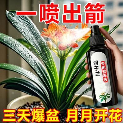 君子兰营养液专用肥兰花促箭
