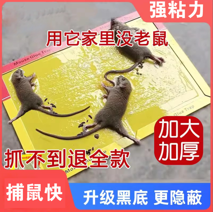 老鼠贴强力粘鼠板粘大老鼠捕鼠神器物理驱鼠安全卫生多场景试用