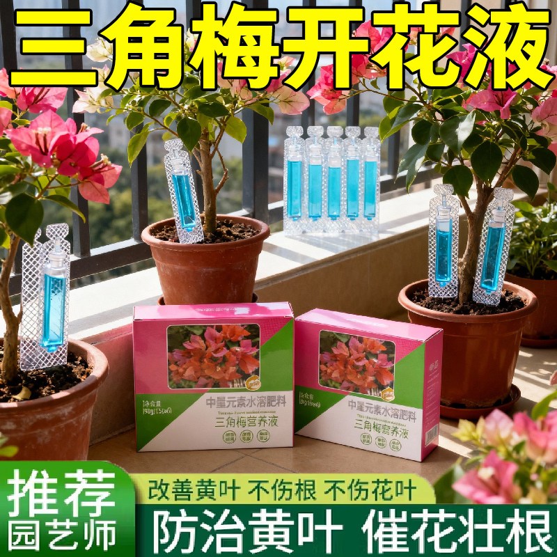 三角梅速效开花素免稀释促开花
