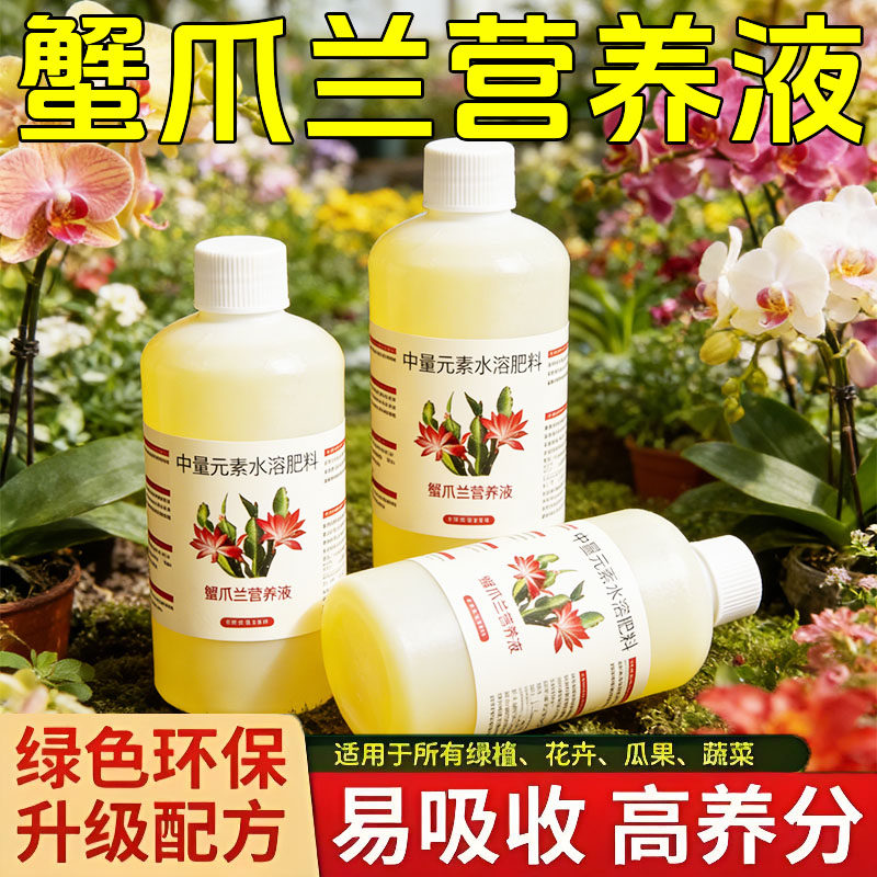 蟹爪兰营养液蟹爪兰专用肥