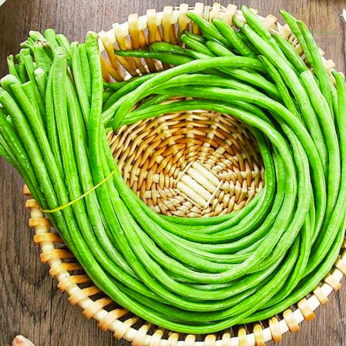 长豆角种子特长摘不完高产豇豆绿条春秋易种庭院大田蔬菜豆角种子