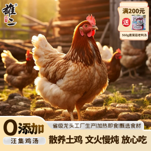 雄二汪集土鸡乌鸡汤560g加热即食速食罐头武汉特产营养滋补汤送礼