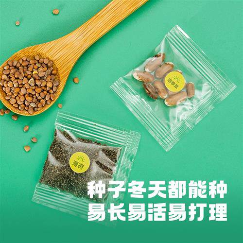 儿童diy植物种植园创意迷你小盆栽办公室桌面生态花园小盆景室内