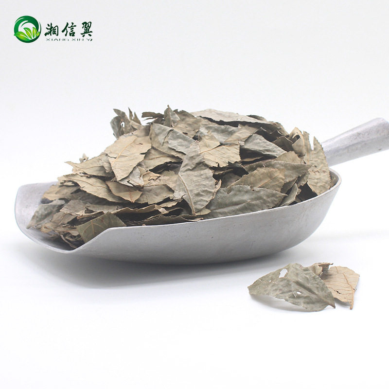 新茶厂家直销张家界特产级青钱柳茶叶 正宗青钱柳 茶金钱柳原叶