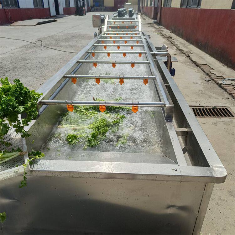 雪里蕻清洗机  乌塌菜清洗机器  叶菜去农药残留清洗机 义康机械