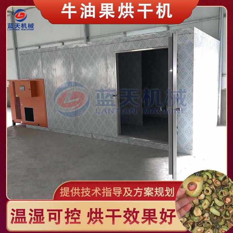 牛油果烘干机 鳄梨油梨奶油果切片烘干整套设备 牛油果片烘干设备
