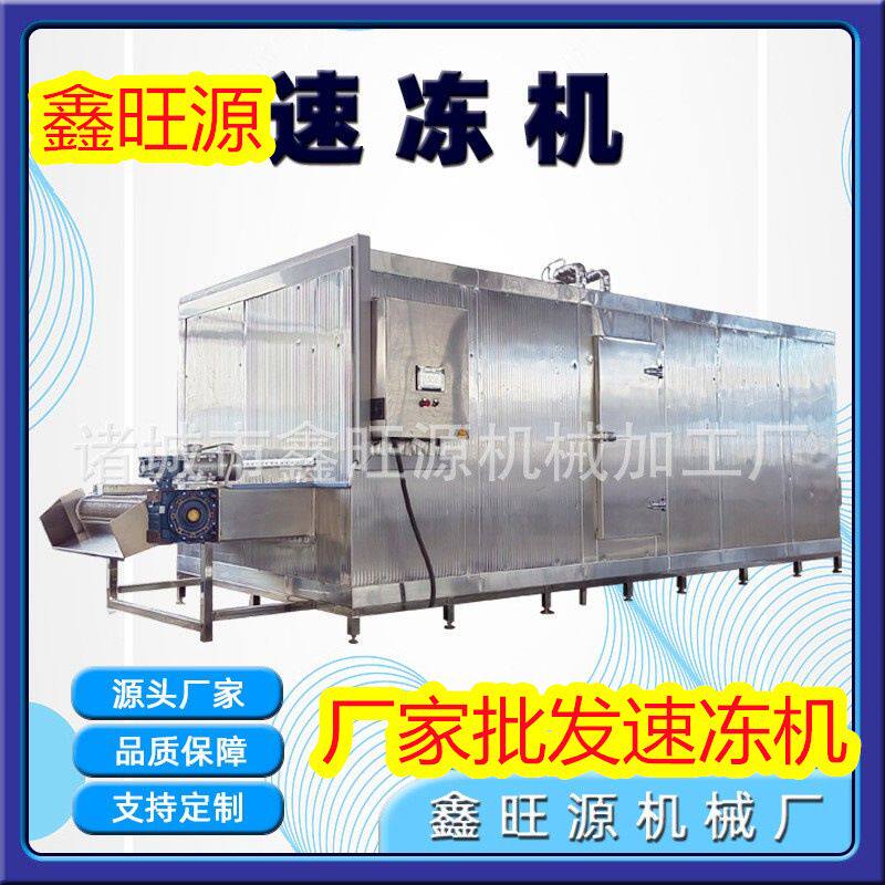 莴笋片侧吹风式速冻机商用大型隧道式冰块速冻机果蔬速冻设备厂家