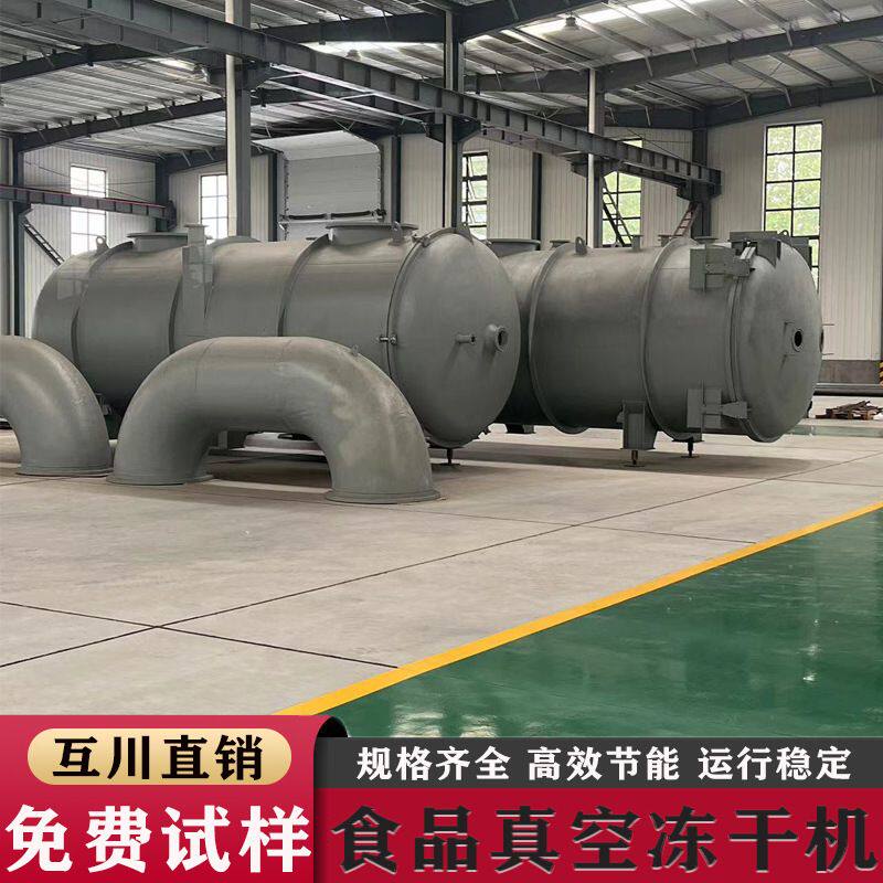 商用低温脱水设备 苹果片自动化真空冷冻干燥机 香蕉真空冻干机