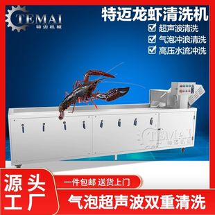 厂家生产小龙虾气泡清洗机 大型文贝除泥清洗机 超声波洗虾机厂家