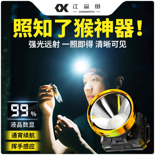照知了猴专用灯头灯2026新款