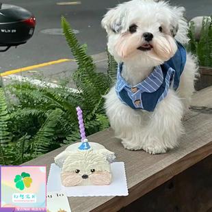 幻想宝贝宠物服新款 小型犬约克夏马尔济斯衣服 复古牛仔百搭衫