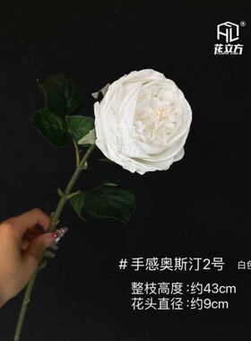 2025新款仿真手工触感保湿奥斯汀玫瑰婚庆装饰花道具无叶假花
