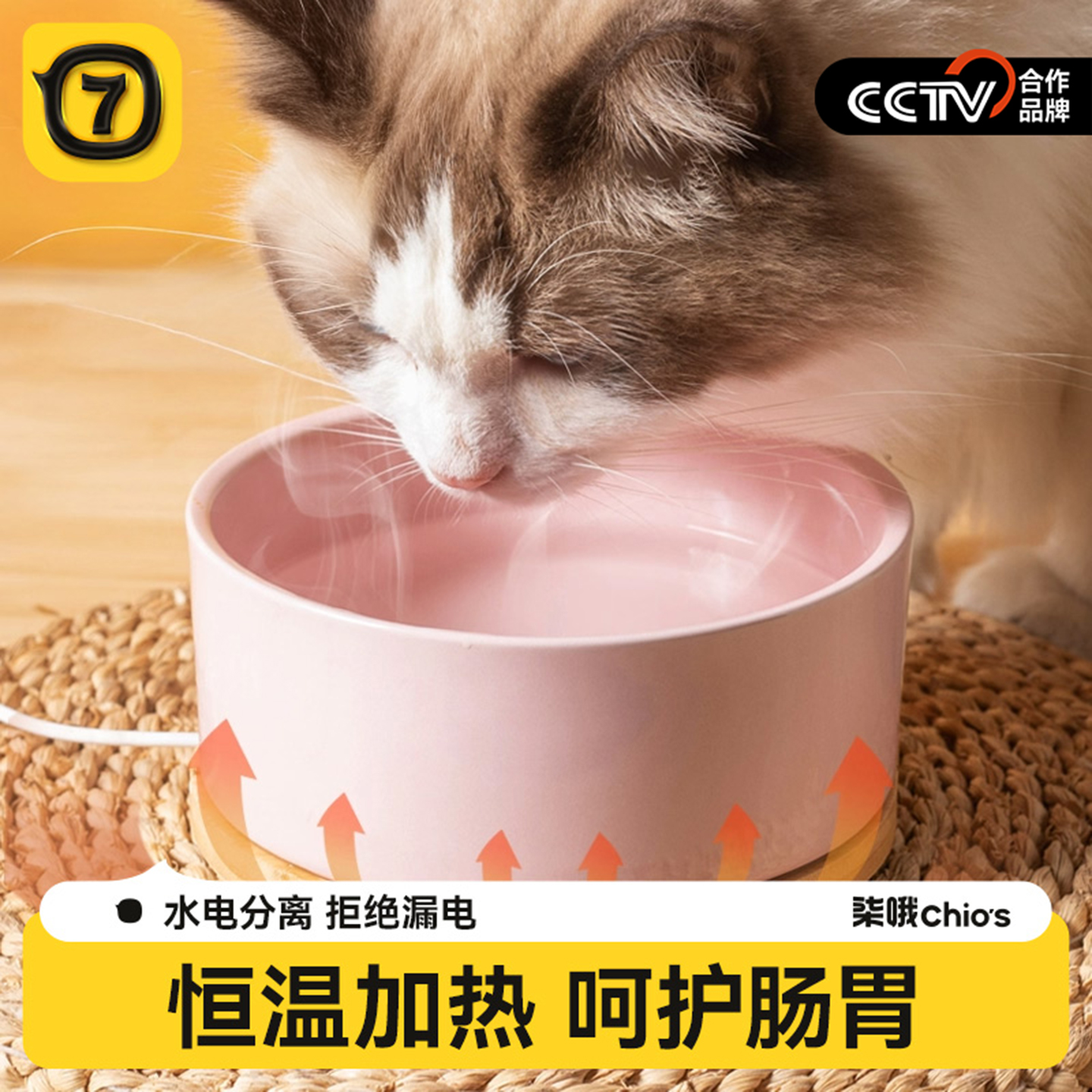 【小红书推荐】恒温陶瓷饮水机