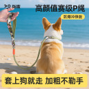 狗狗绳子防爆冲P链遛狗牵引绳防挣脱狗链子柯基中大型犬拴狗绳p绳