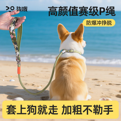 【小红书推荐】不勒手赛级p绳