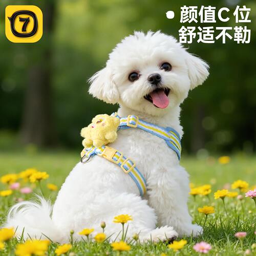 【抖音同款】时尚小狗胸背