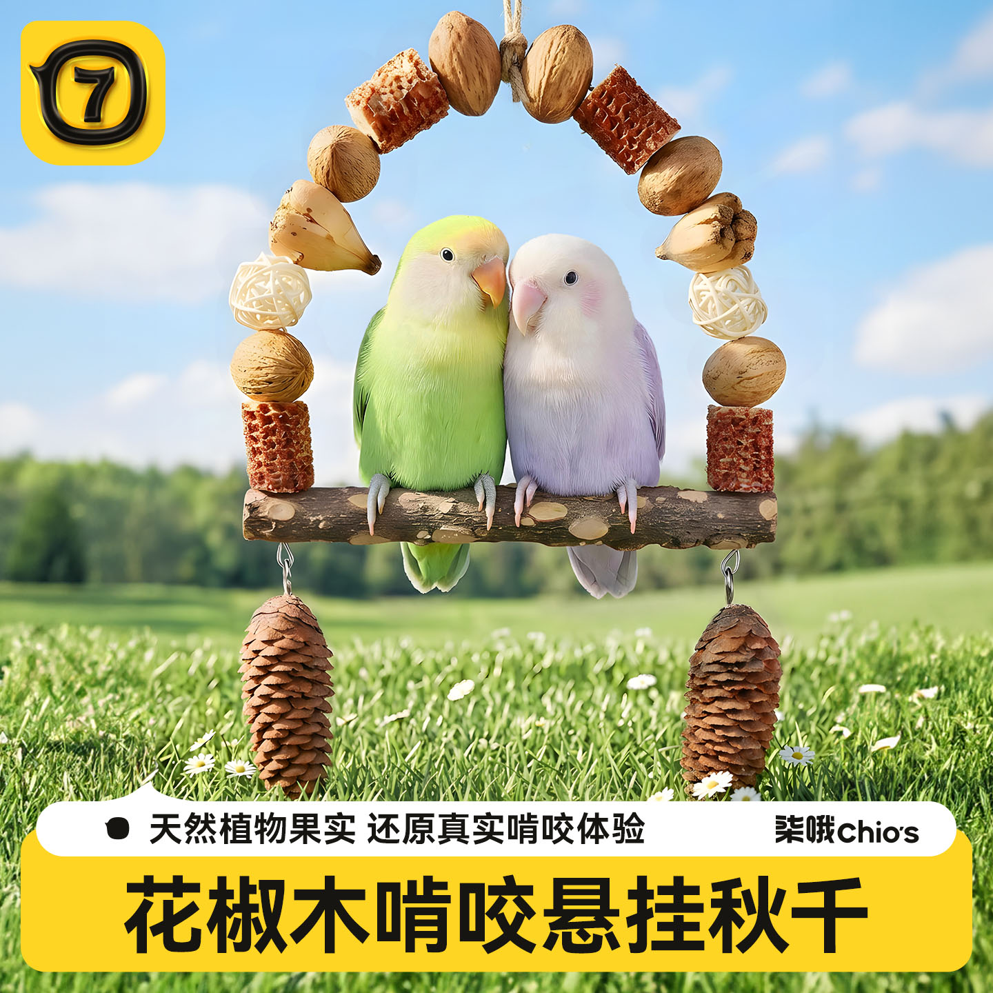 鹦鹉天然果实秋千玩具花椒木站杆图片