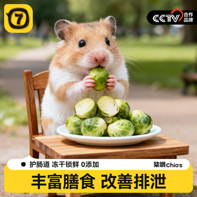 【整颗孢子甘蓝】仓鼠零食