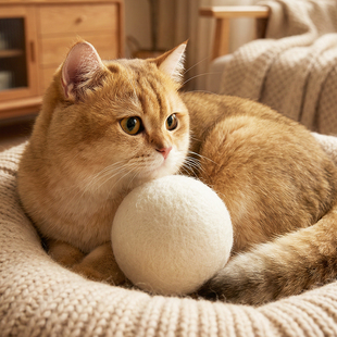 猫玩具自嗨解闷神器羊毛球逗猫棒磨牙耐咬实心球猫咪玩具宠物用品