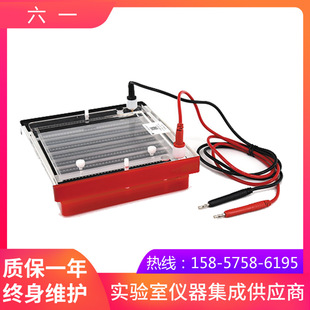 北京六一DYCP-44P快速凝胶电泳仪