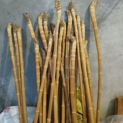 实心玉竹手持拐杖料长1米2打磨好抛光好实心竹拐杖料各种款式竹拐