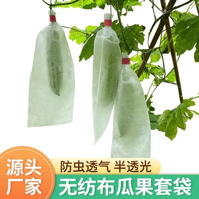 丝瓜青瓜黄瓜苦瓜套袋防虫袋防蜂果蝇套袋蔬菜无纺布羊角蜜保护袋