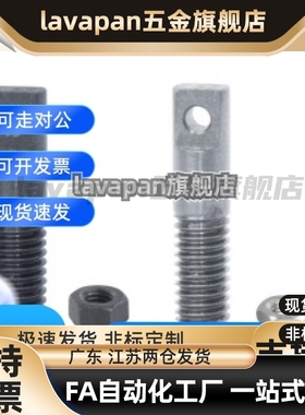 替代恰合达 FFD11-D3/D4/D5/D6-L15/L20/L25/L30 拉伸弹簧支柱