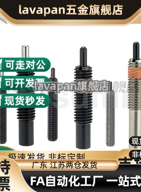 替代模具弹簧顶丝柱塞弹性顶销 防松型PJH4 5 6 8 10 12 16-3 5 1