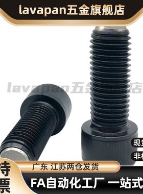 ZC108-1内六角球头柱塞波珠BPRL4-M8/4/5/6/10/15/20/25/30/35/40